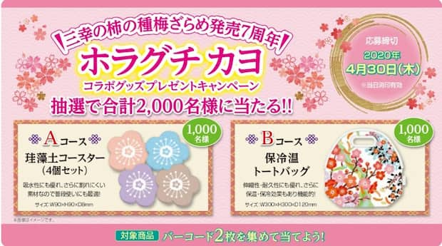 終了したキャンペーン お菓子 チョコレート スナック菓子 懸賞 まとめ 懸賞 おつかいねこの懸賞生活ブログ