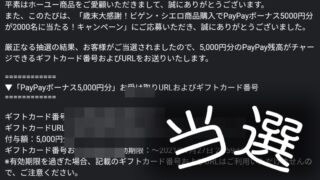 おつかいねこの懸賞生活ブログ 懸賞情報を分かりやすく紹介する懸賞ブログ