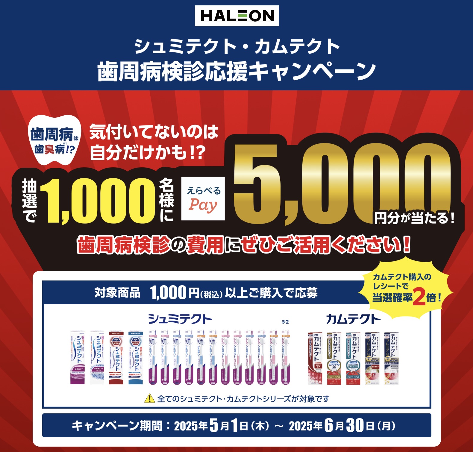 クローズド懸賞　キャンペーン　懸賞情報　懸賞ブログ　シュミテクト　カムテクト