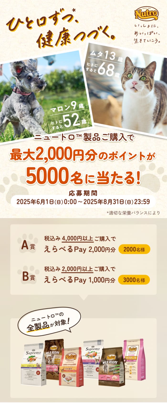 クローズド懸賞　キャンペーン　懸賞情報　懸賞ブログ　ニュートロ