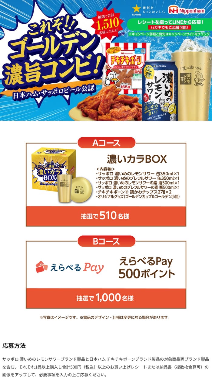クローズド懸賞　キャンペーン　懸賞情報　懸賞ブログ　サッポロ　チキチキボーン