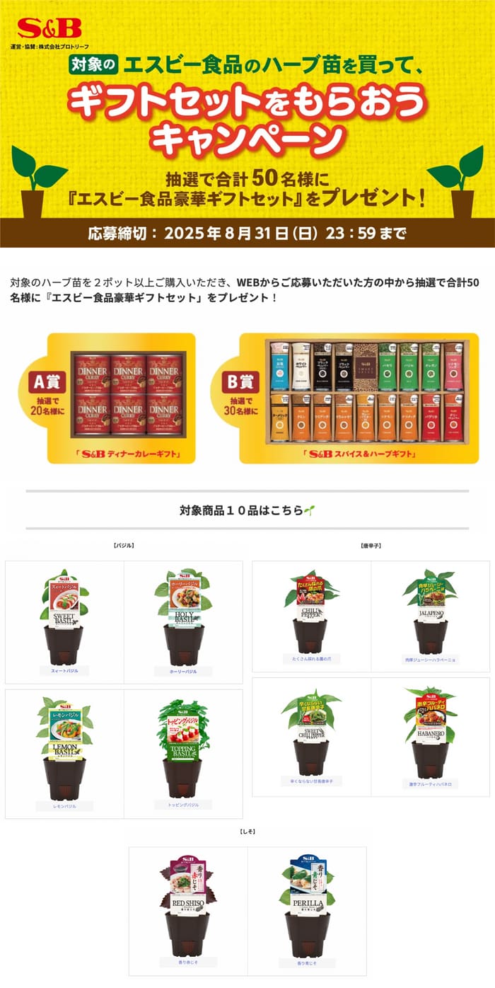 クローズド懸賞　キャンペーン　懸賞情報　懸賞ブログ　S&B