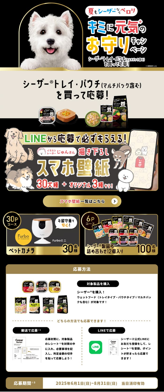 クローズド懸賞　キャンペーン　懸賞情報　懸賞ブログ　シーザー