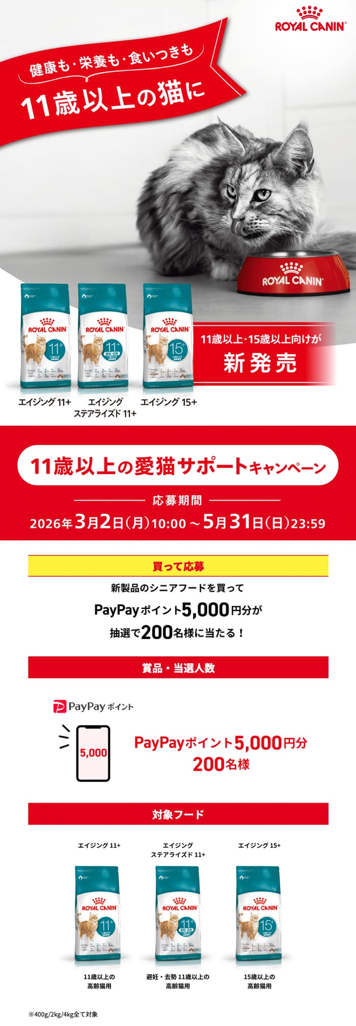 クローズド懸賞 キャンペーン 懸賞情報 懸賞ブログ キャットフード ロイヤルカナン